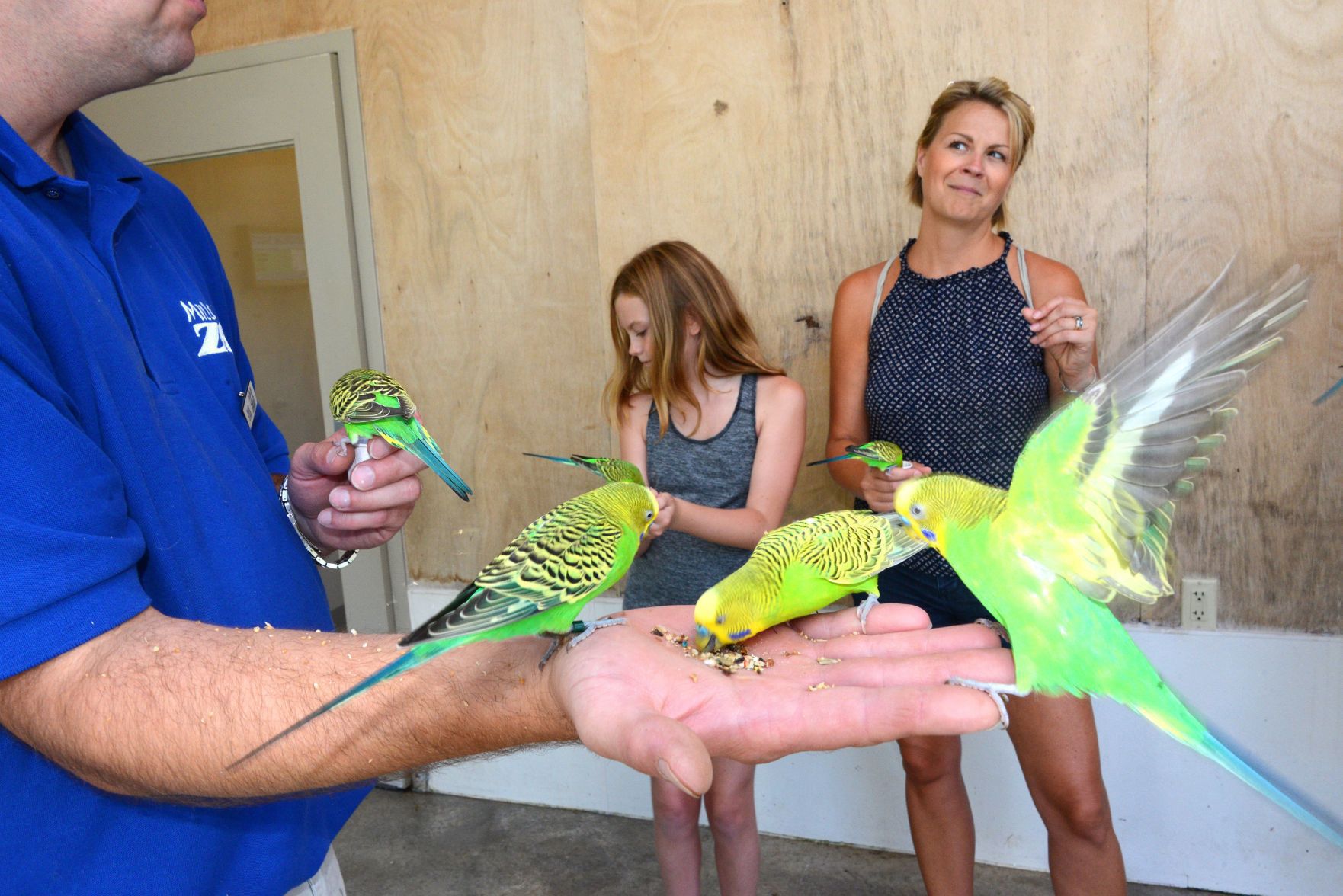 A bird in hand